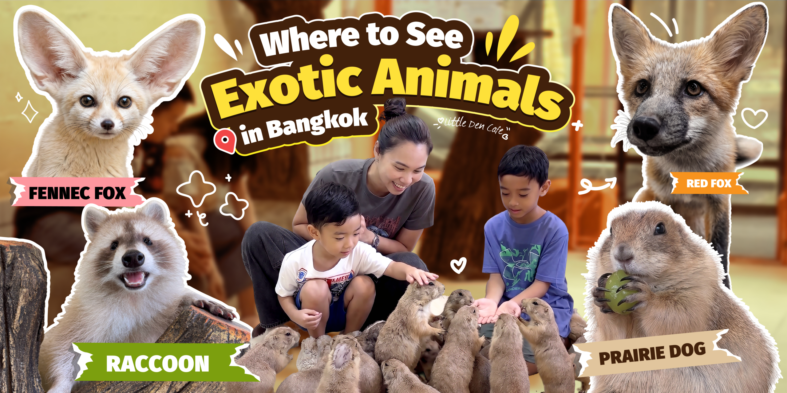 Tourist enjoying an exotic animal experience in Bangkok at Little Den Cafe